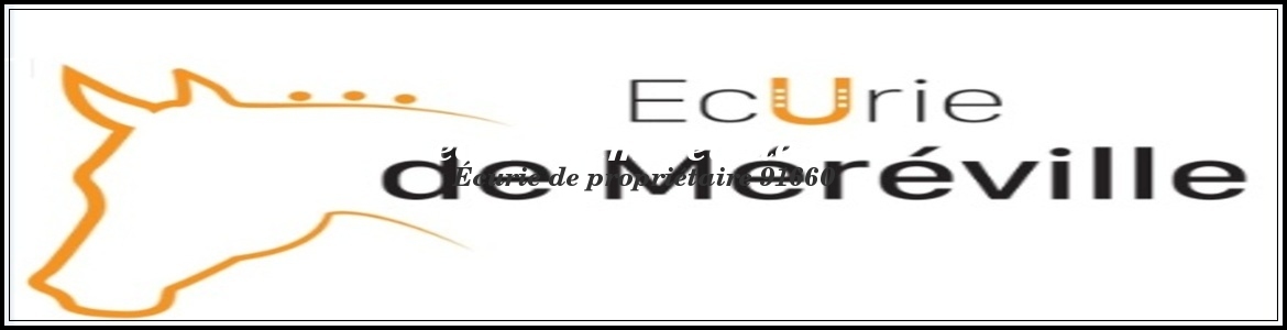 ecuriedemereville-91
